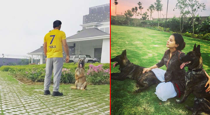 Photos: MS Dhoni's Lavish House In Ranchi