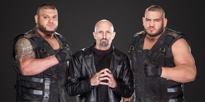 इन 5 परेशानियों से गुजर रहा है WWE, जल्द पाना होगा पार वर्ना गिरेगी TRP 6