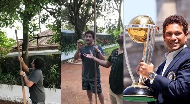 Sachin Tendulkar fall from a mango tree, After this he start his cricket carrier