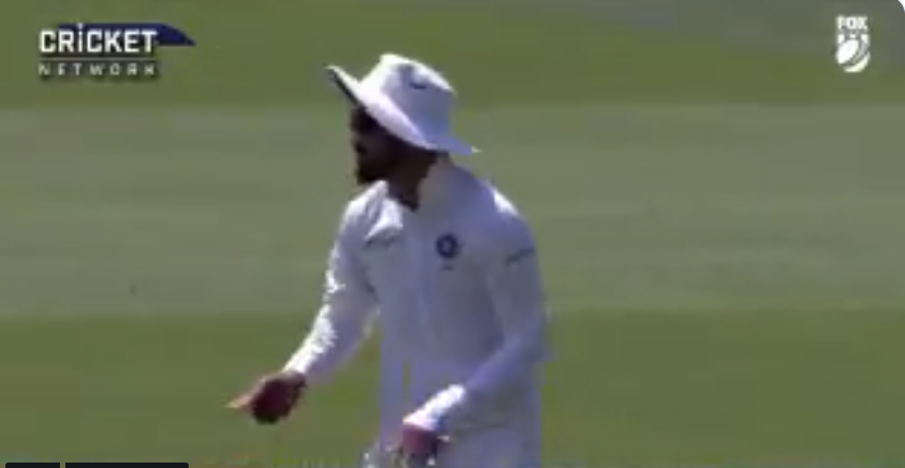 AUSvsIND- वीडियो: 13.5 ओवर में केएल राहुल ने दिखायी ऐसी खेल भावना कि जीत लिया हर एक फैंस का दिल 1