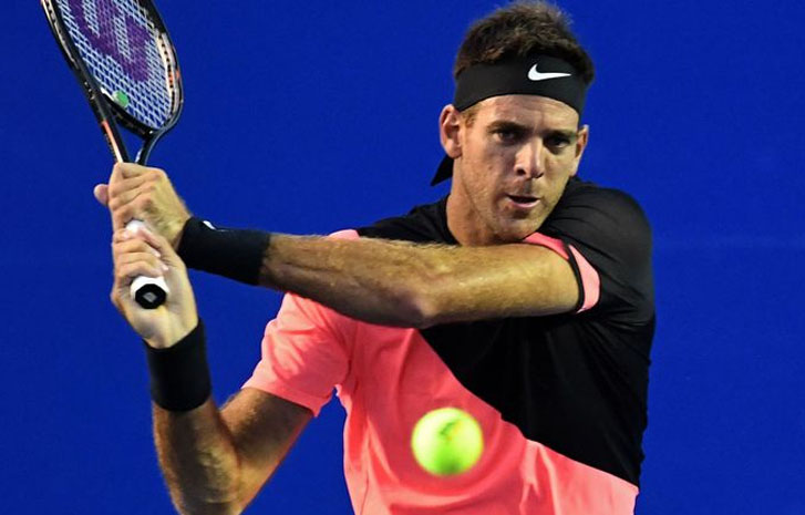 Del Potro out of the Mexican Open
