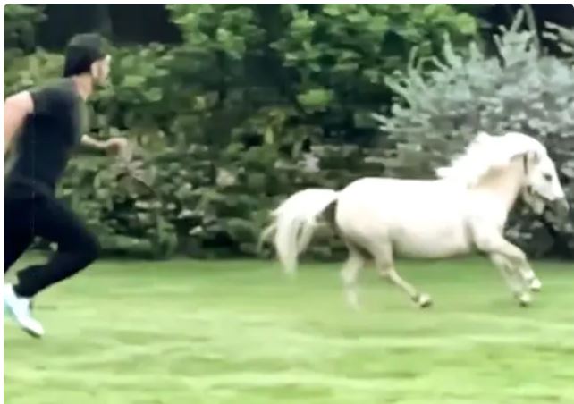 वीडियो : महेंद्र सिंह धोनी अपने घोड़े के साथ रेस लगाते आए नजर, जाने किसे मिली जीत 1