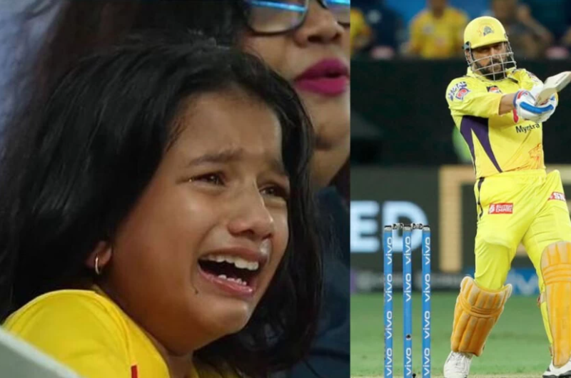 आईपीएल 2021- महेन्द्र सिंह धोनी केवल नाम नहीं... फैंस के लिए इमोशन भी हैं, CSK को हारता देख रोने लगी छोटी बच्ची, देखें वीडियो 6