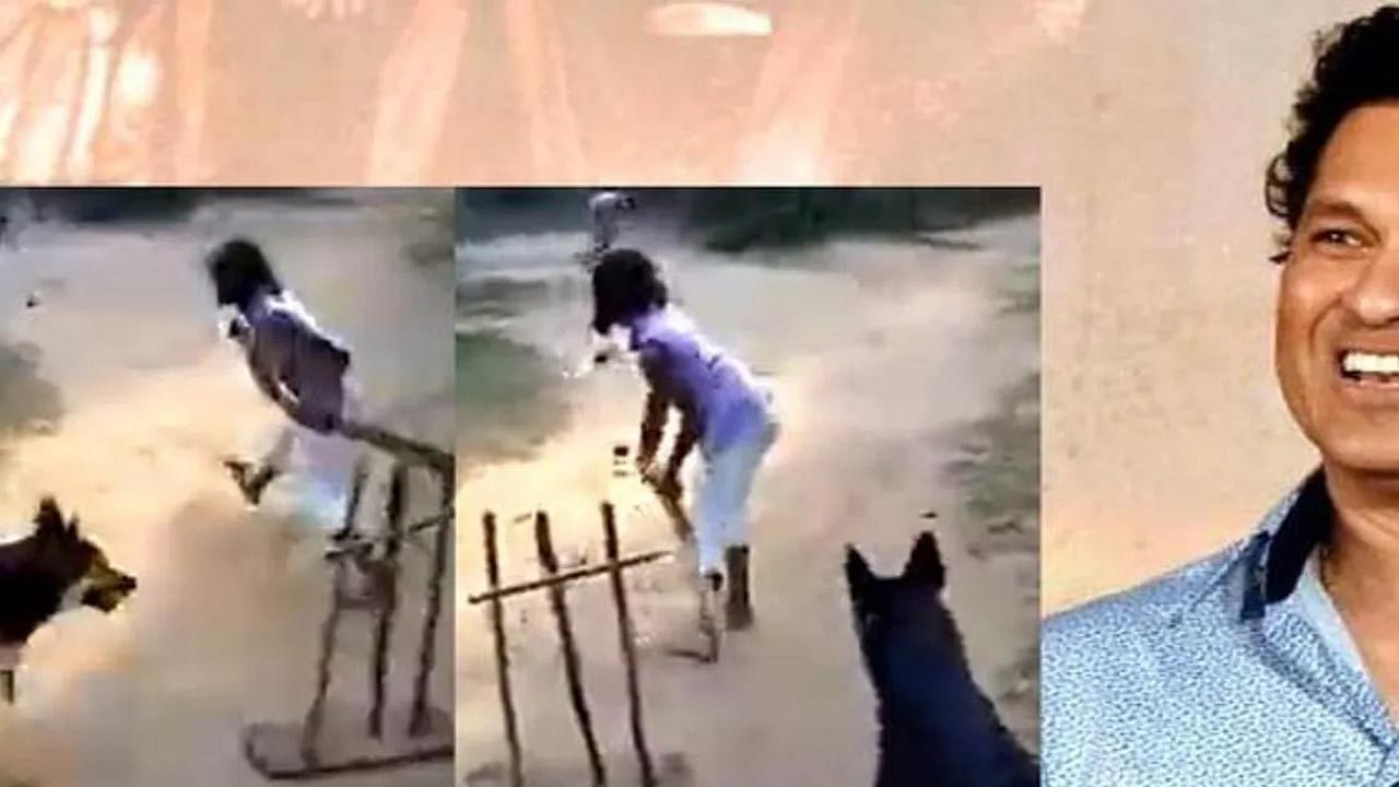 क्या हुआ जब एक डॉग ही बना क्रिकेट मैच में विकेटकीपर और फील्डर? सचिन तेंदुलकर ने शेयर किया मजेदार वीडियो 3
