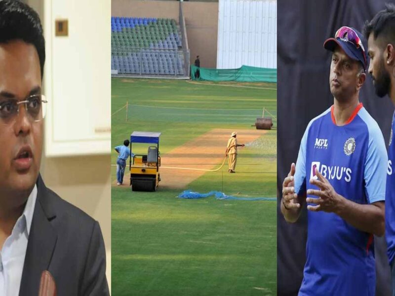 bcci-removed-ekana-stadium-pitch-curator due to hardik dravid reports