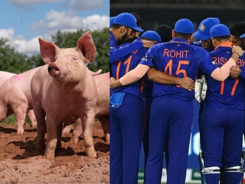 These players of India eat pork