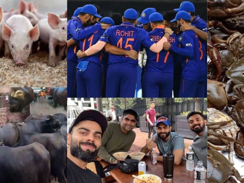 These 5 players of India consume beef and pork