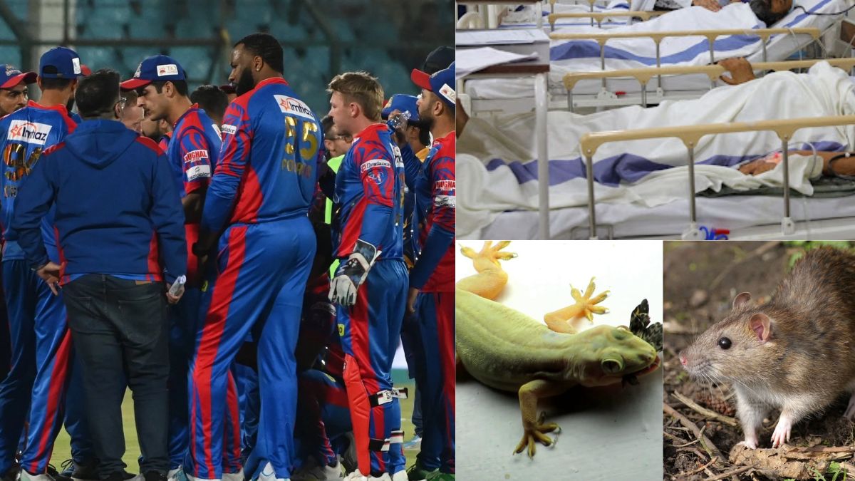 There was a stir in PSL, 13 veteran cricketers fell ill after eating rats and lizards, now fighting for life and death in the hospital
