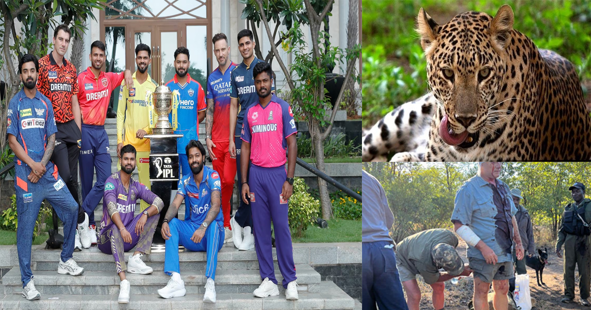 during-ipl-2024-guy-james-whittall-injured-by-leopard