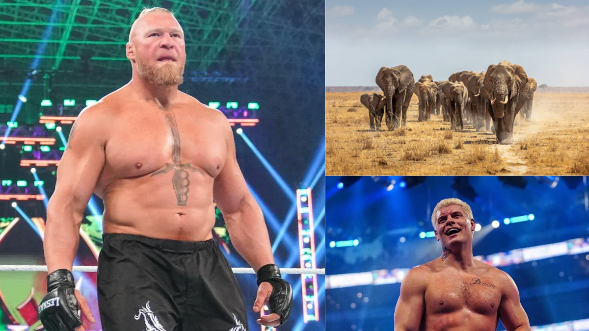 3 WWE दिग्गज सुपरस्टार्स जो Brock Lesnar की वापसी पर बन सकते हैं प्रतिद्वंदी, नंबर-2 में हैं 100 हाथियों का बल 1