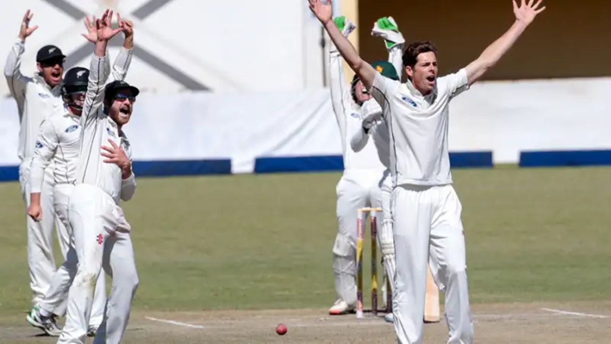 ZIM vs NZ