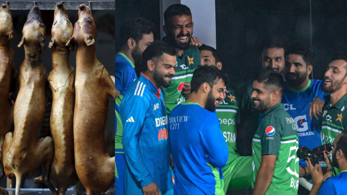 This player gets HULK-like strength after eating dog meat, easily hits a 150m long six